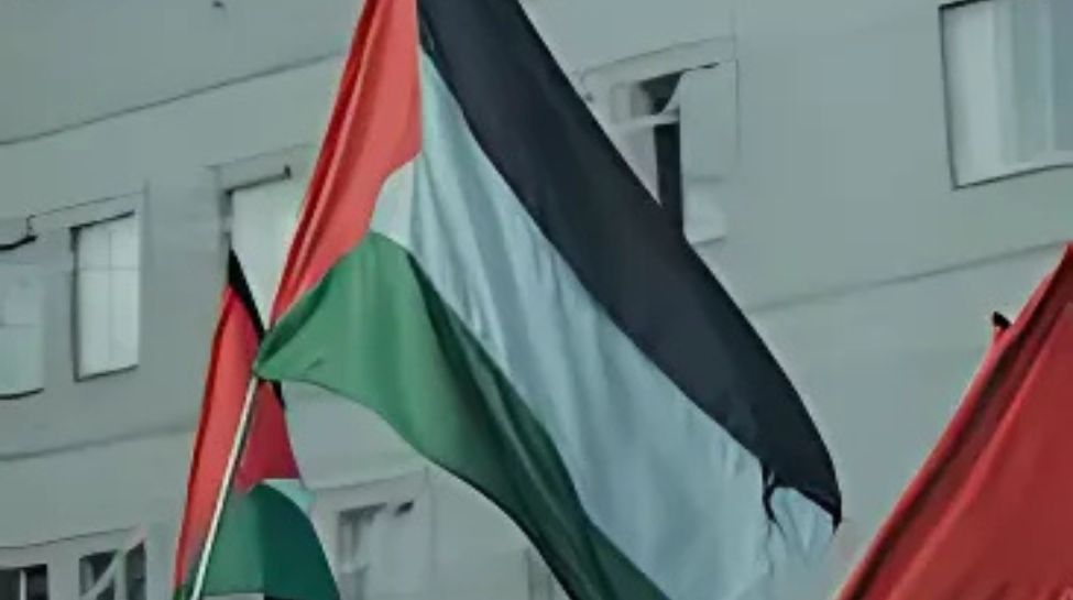 Occupied Palestine