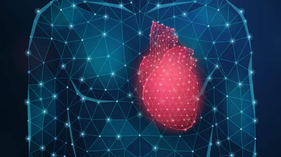 Breakthrough In Heart Regeneration: Scientists Discover New Way To Heal Failing Hearts