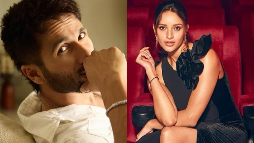 IIFA 2025: Shahid Kapoor Shares Insights On Action-Thriller With Triptii Dimri