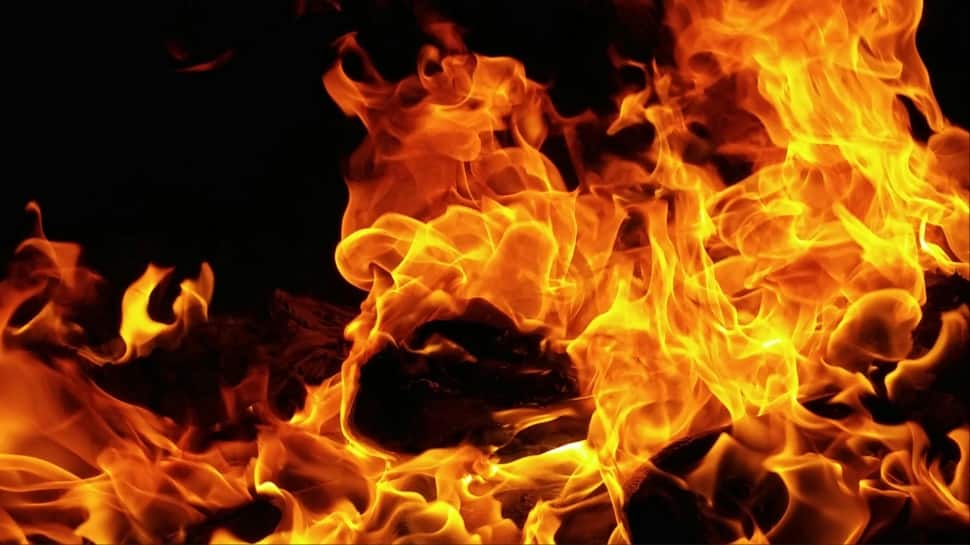 Tantrik Hangs Child Upside Down Over Fireplace Throughout Weird Ritual In MP — Right here’s What Occurred Subsequent