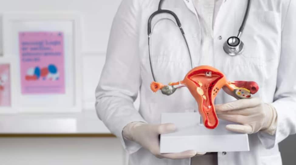 Researchers Decode Origins Of Ovarian Cancer With Discovery Of THIS In Fallopian Tubes