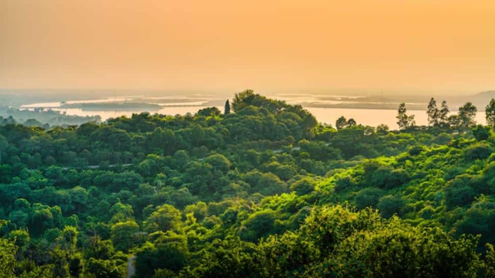 The Scenic Beauty of Pachmarhi
