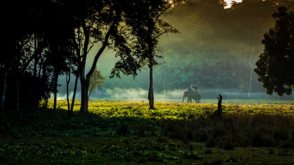 Chitwan National Park (Nepal)