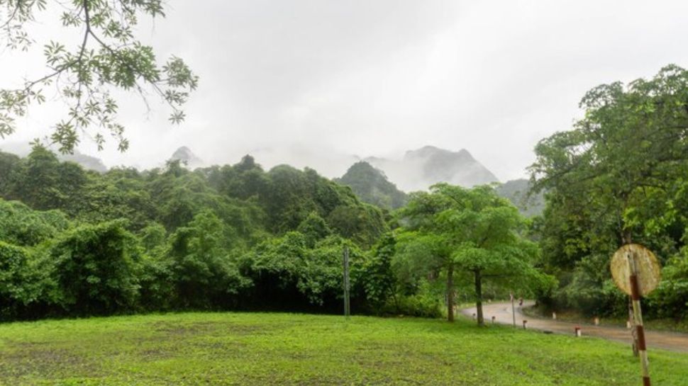Phong Nha-Kẻ Bàng National Park (Vietnam)