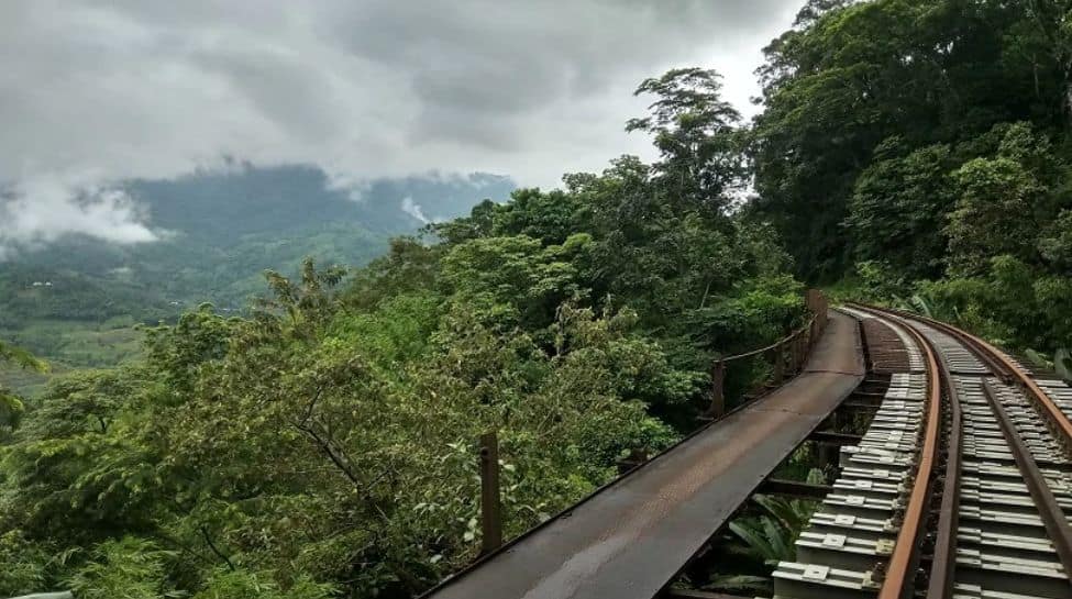 8. Jatinga, Assam