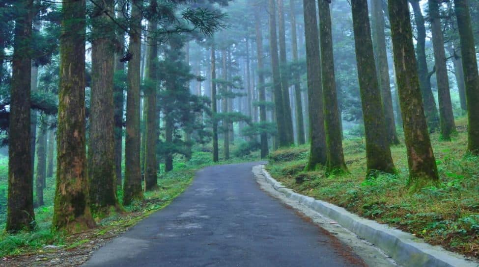 3. Dow Hill, West Bengal