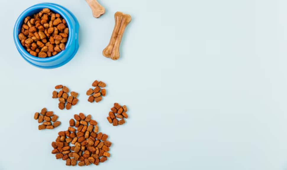 Shop these Best Dog Food for a Healthy and Happy Pet