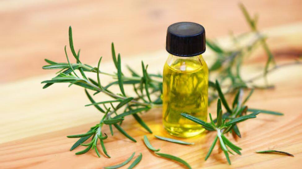 6. Rosemary Oil
