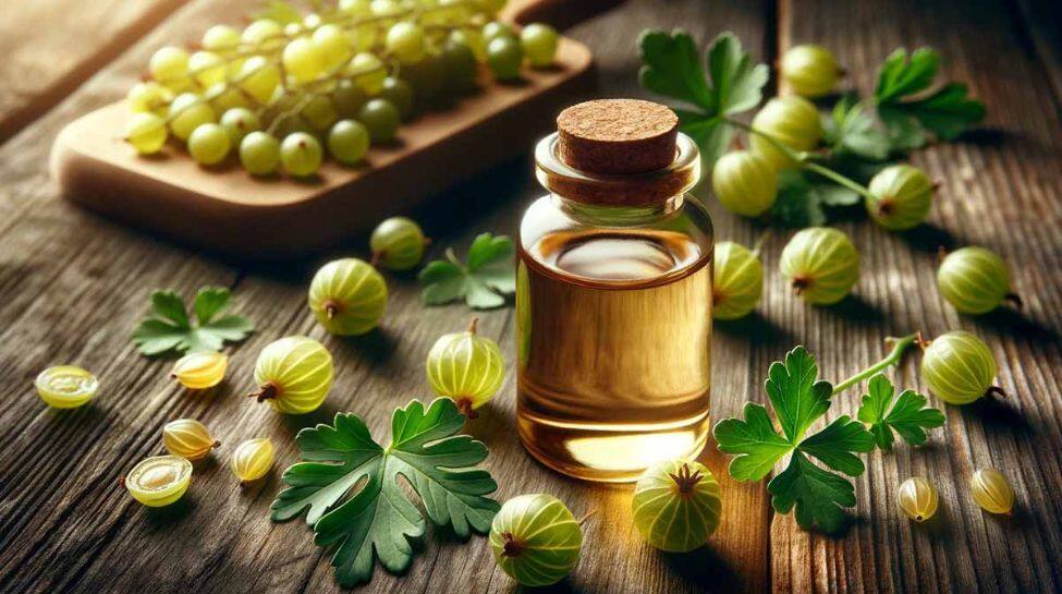 5. Amla Oil