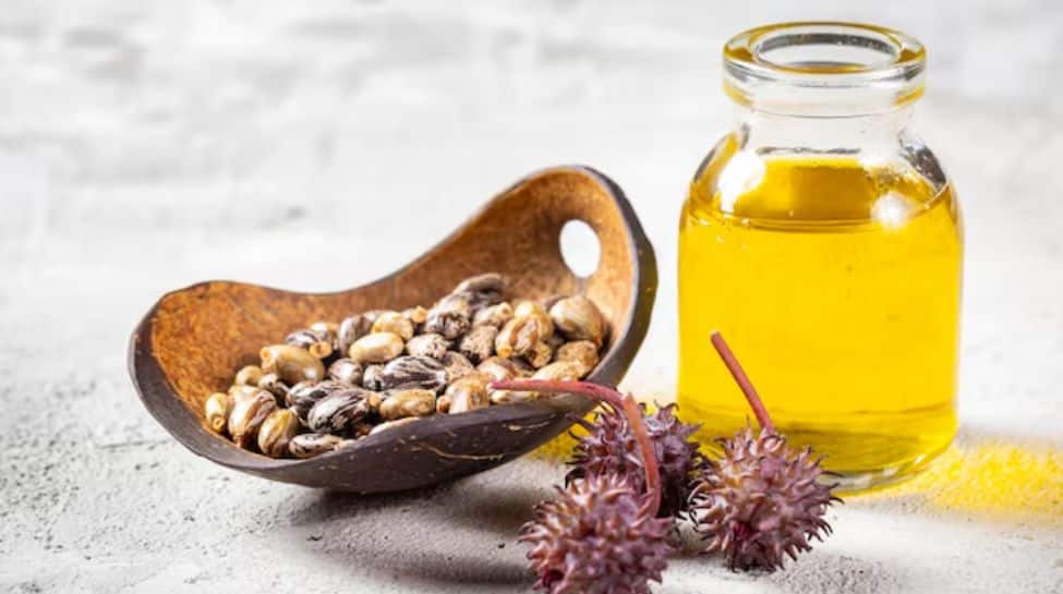 2. Castor Oil
