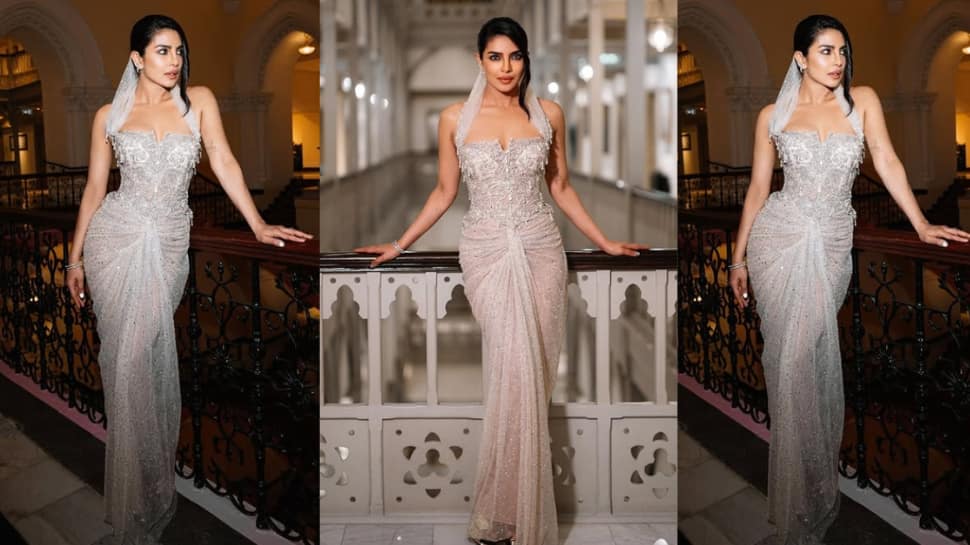 Priyanka Chopra's Net Worth
