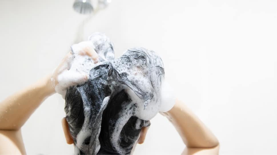 Your Ultimate Shampoo Guide: Cleanse, Nourish, Thrive Your Ultimate Shampoo Guide: Cleanse, Nourish, Thrive