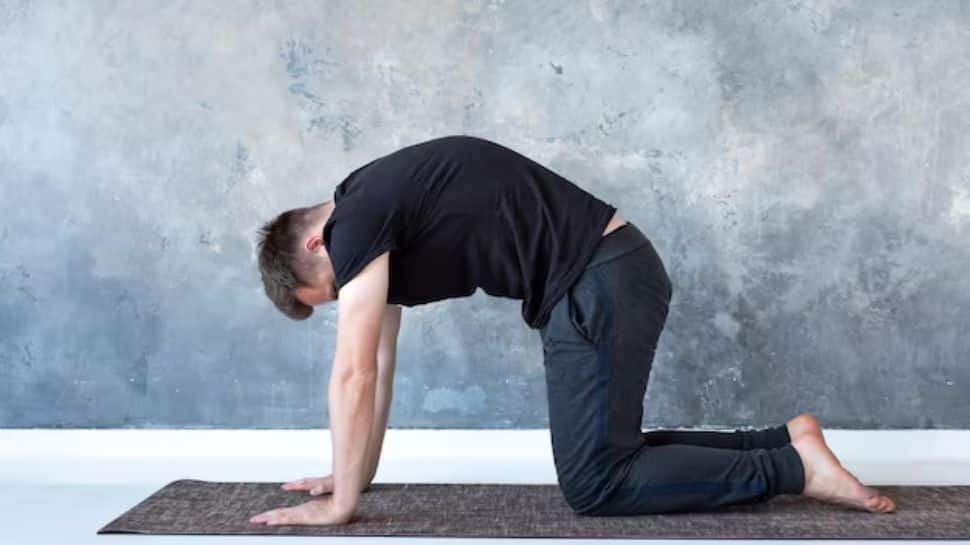 Cat-Cow Pose (Seated or on Hands and Knees)