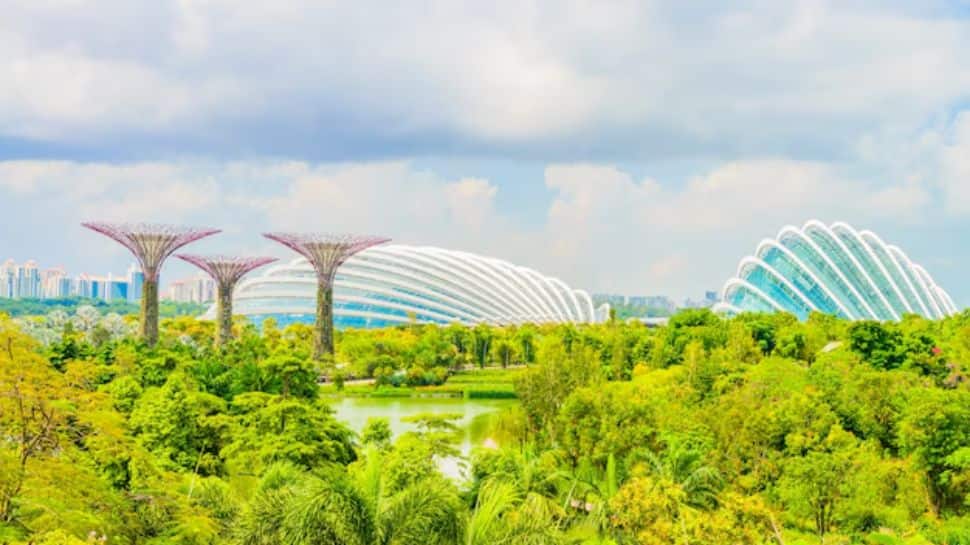 Singapore Botanic Gardens - Singapore