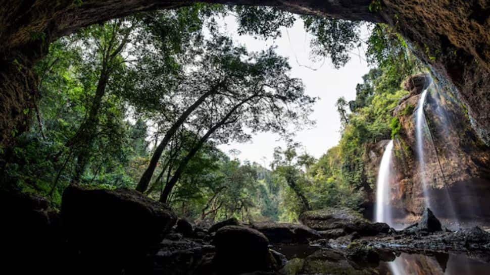 Khao Yai National Park - Thailand