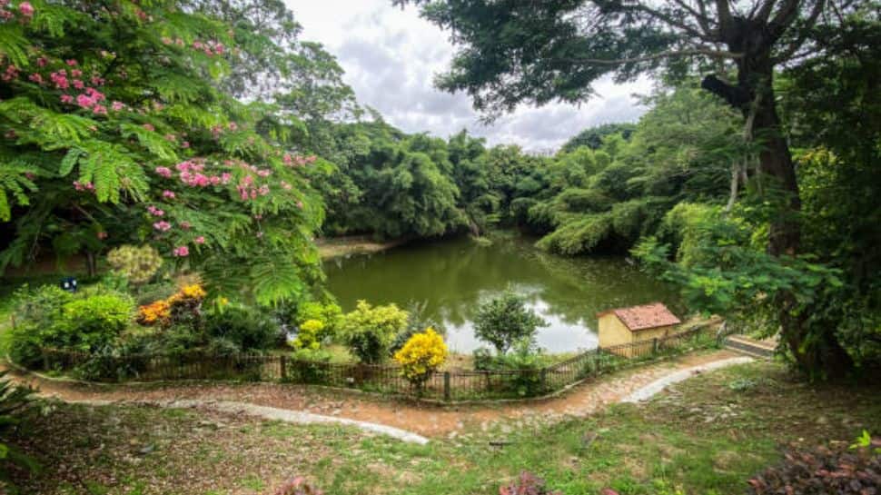 Lalbagh Botanical Garden - India