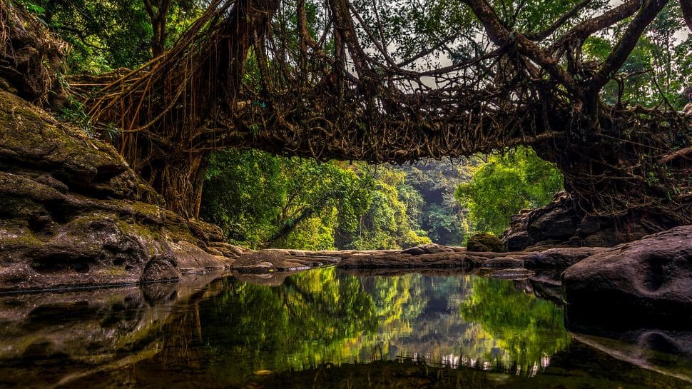 Mawlynnong (Meghalaya)
