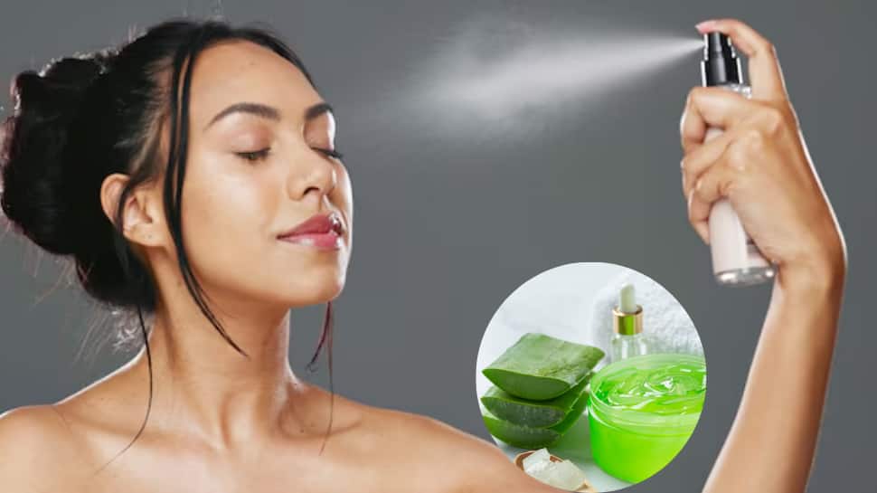 Cool Down with Face Mists and Aloe Vera