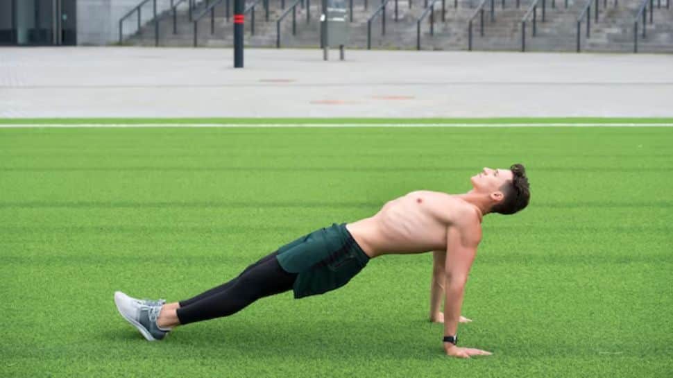Reverse Plank