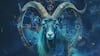 Capricorn 