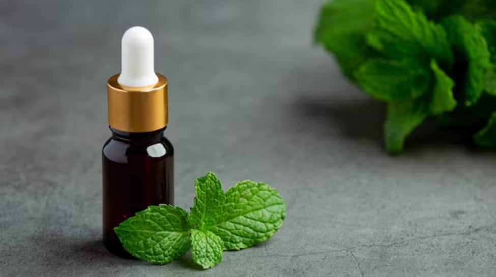 Peppermint Essential Oil