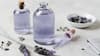 Lavender Essential Oil