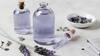 Lavender Essential Oil