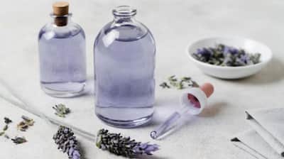 Lavender Essential Oil