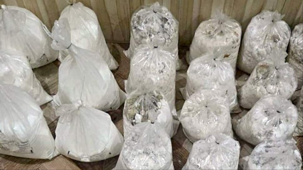 Maharashtra Drug Bust: 2 Held With Rs 50 Crore Mephedrone In Mumbai, Lab Busted In Raigad