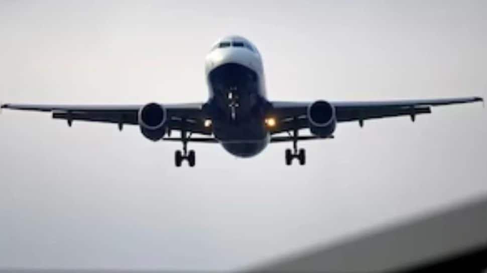 No IAF Or Chartered Aircraft Hired For Repatriation Of Indian Immigrants Since 2020: Govt | Mobility News  zeenews.india.com