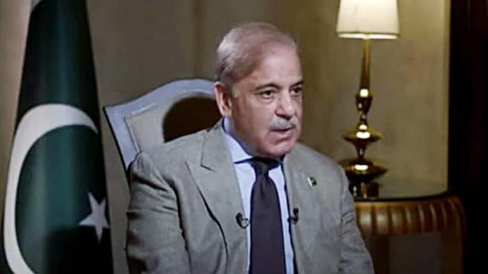 Pak FM Aurangzeb Hints At Issuing Panda Bonds To Tap Into China’s Extensive Capital Market | World News  zeenews.india.com