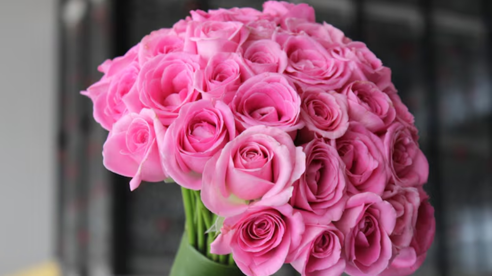 Pink Roses