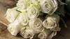  White Roses