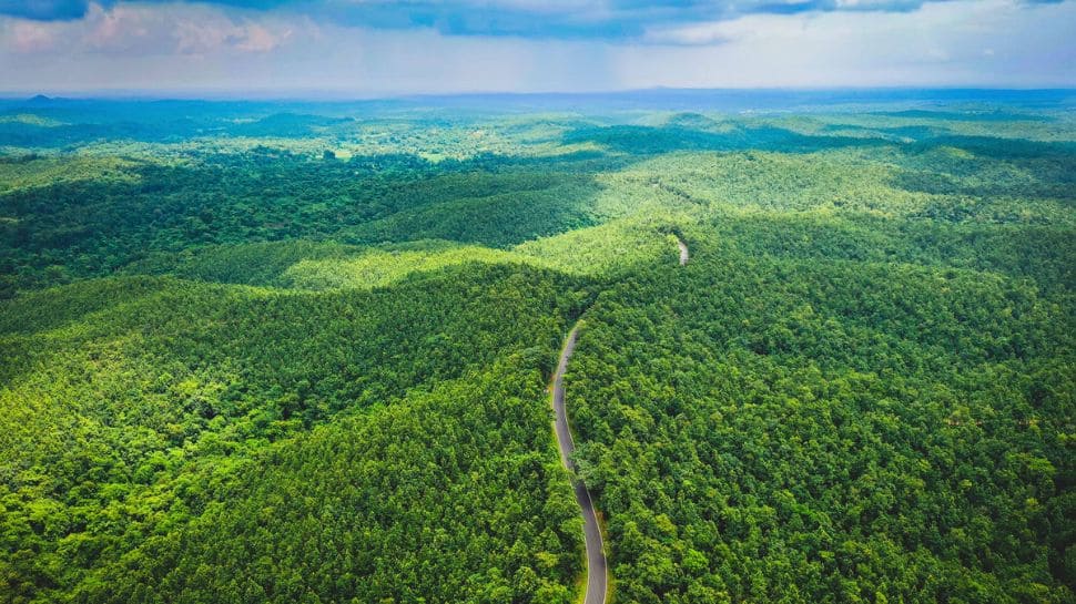 Mukutmanipur: A Hidden Gem for Nature Lovers