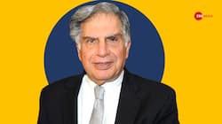 Ratan Tata's Will: Rs 3,800 Crore Wealth Distributed In Philanthropy-Details