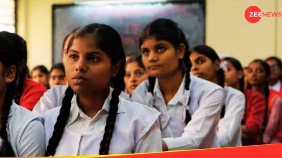 RSMSSB Rajasthan Animal Attendant Result 2025 Declared At rssb.rajasthan.gov.in.- Check Steps To Download The Merit List