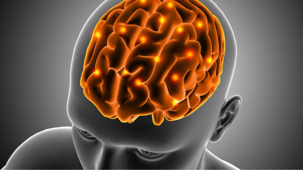 Boosts Brain Function and Energy