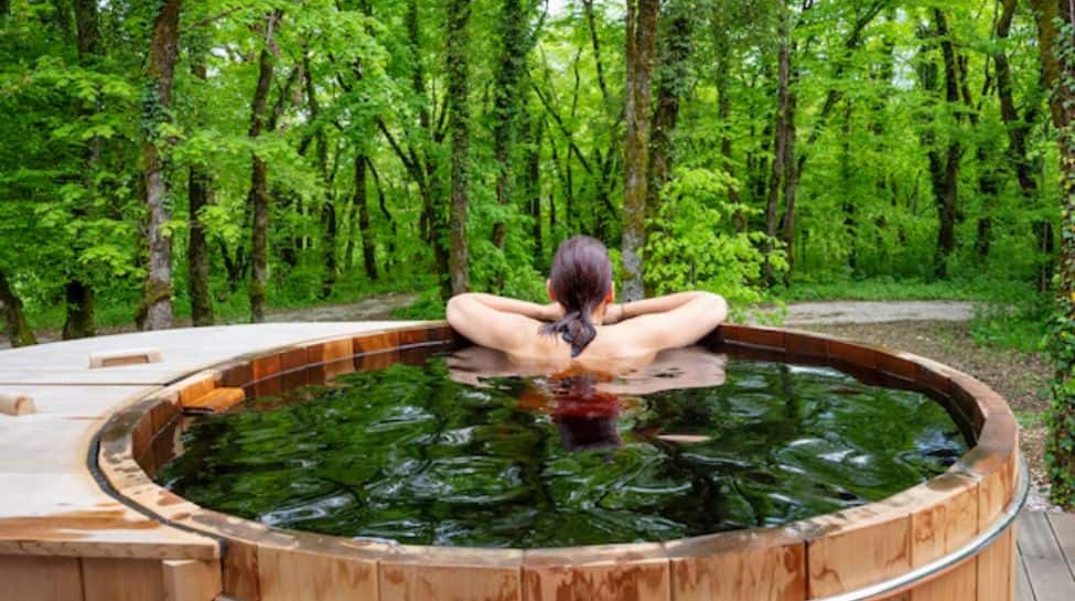 Japanese Techniques To Detox Your Mind: Embracing Harmony And Balance