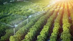 Govt Okays Irrigation Scheme Upgrade Under PMKSY With Rs 1,600 Cr For FY26 