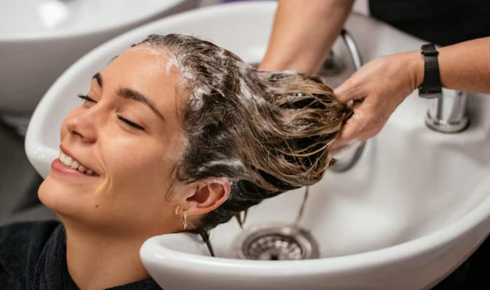 Shine Bright, Stay Fresh: Best Shampoos for Dull, Damaged & Oily Hair Shine Bright, Stay Fresh: Best Shampoos for Dull, Damaged & Oily Hair