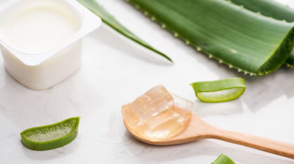 5. Yoghurt and Aloe Vera Mask – For Soothing Irritated Skin