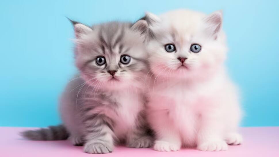 National Pet Day 2025