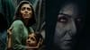 Chhorii 2  (2025)