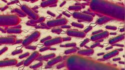 Parasitic Infection Linked To Cervical Cancer Risk Even After Treatment, Study
