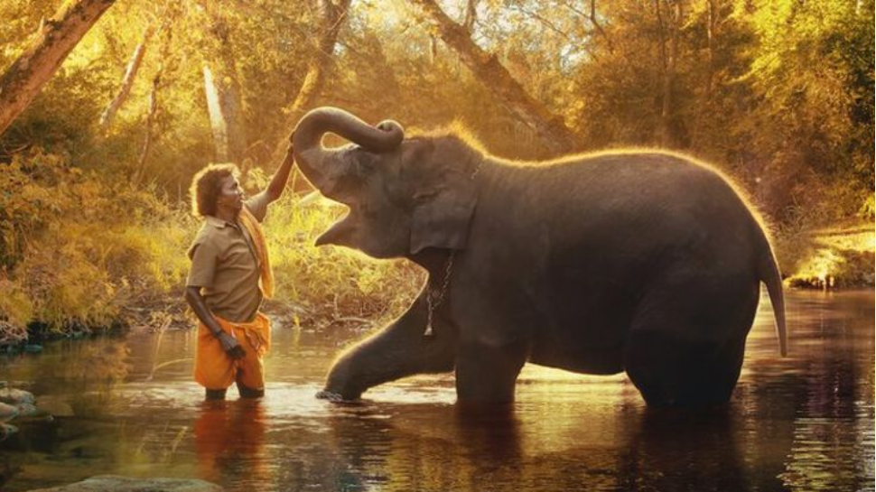 The Elephant Whisperers