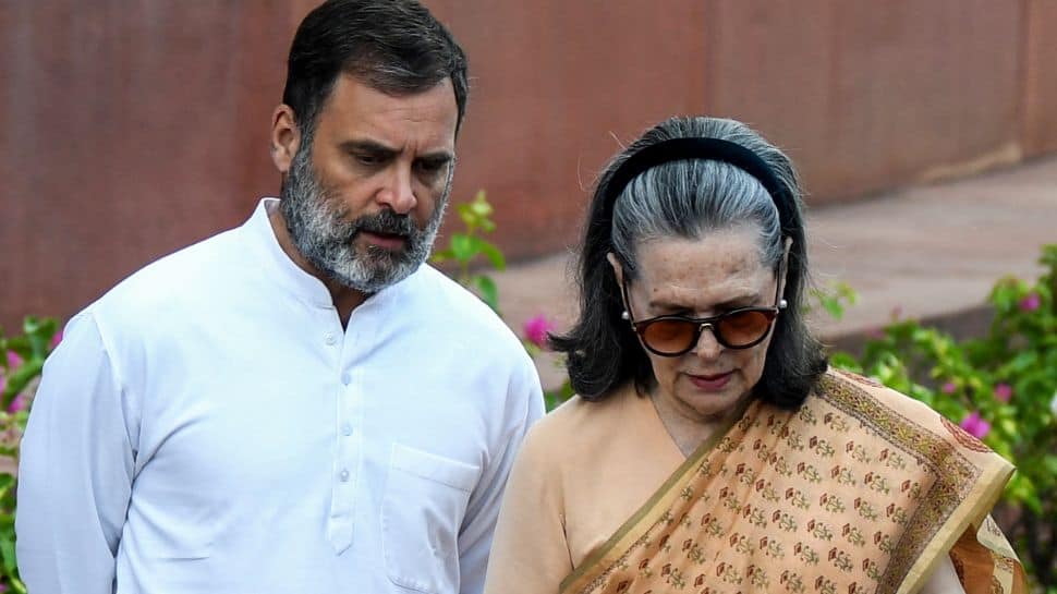 ED Chargesheets Sonia Gandhi, Rahul Gandhi In Nationwide Herald Case