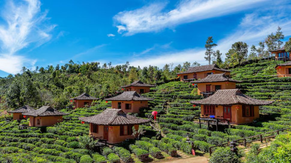Ooty, Tamil Nadu