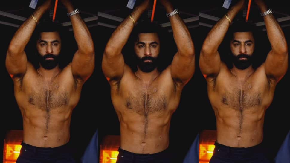 Ranbir Kapoor In Animal