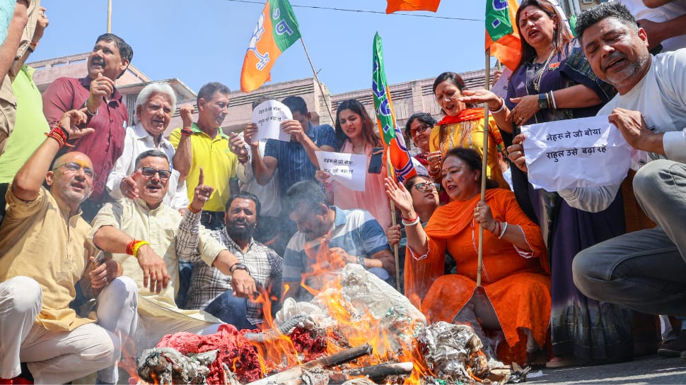 Nationwide Herald Case: BJP Protests Towards Congress In Panaji, Burns Rahul Gandhi’s Effigy
