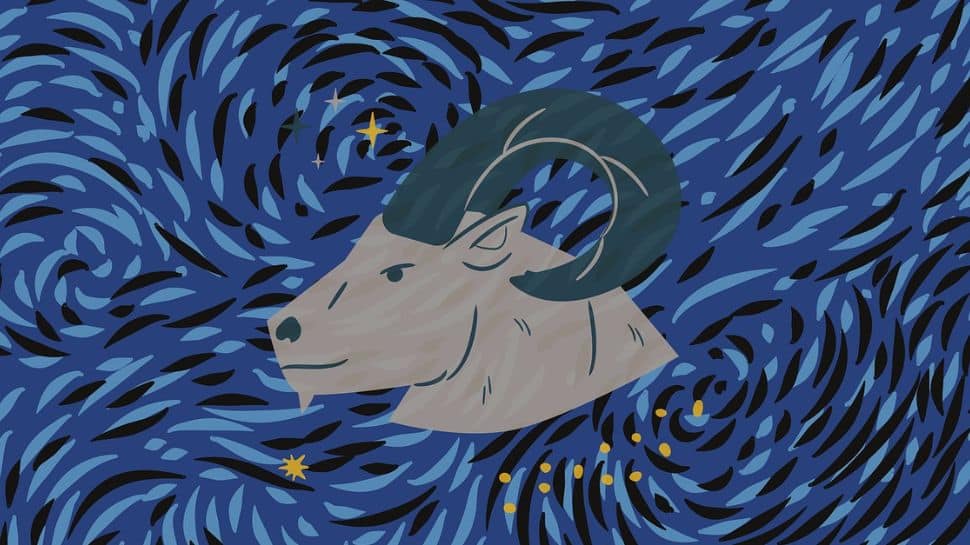Capricorn Capricorn